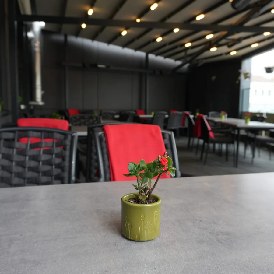 Blumentopf auf einem Terrassentisch mit Blick in die Tiefe